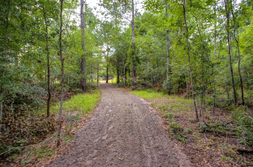 Telfair County Homesite Photo
