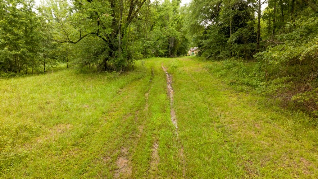 Little Ogeechee Retreat Photo
