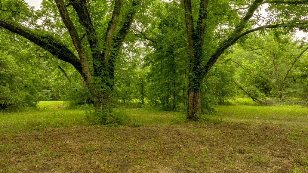 Little Ogeechee Retreat Photo