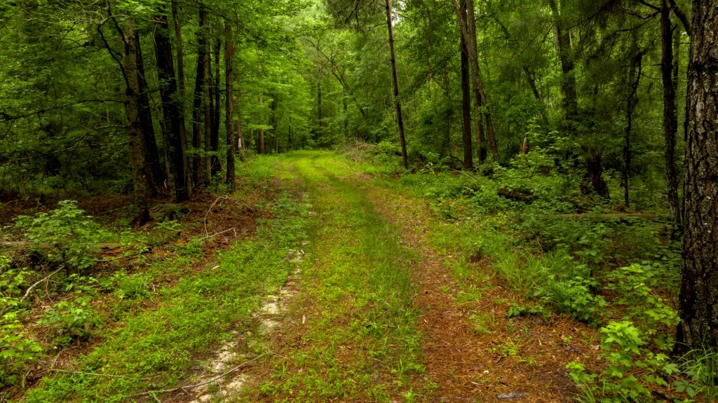 Little Ogeechee Retreat Photo