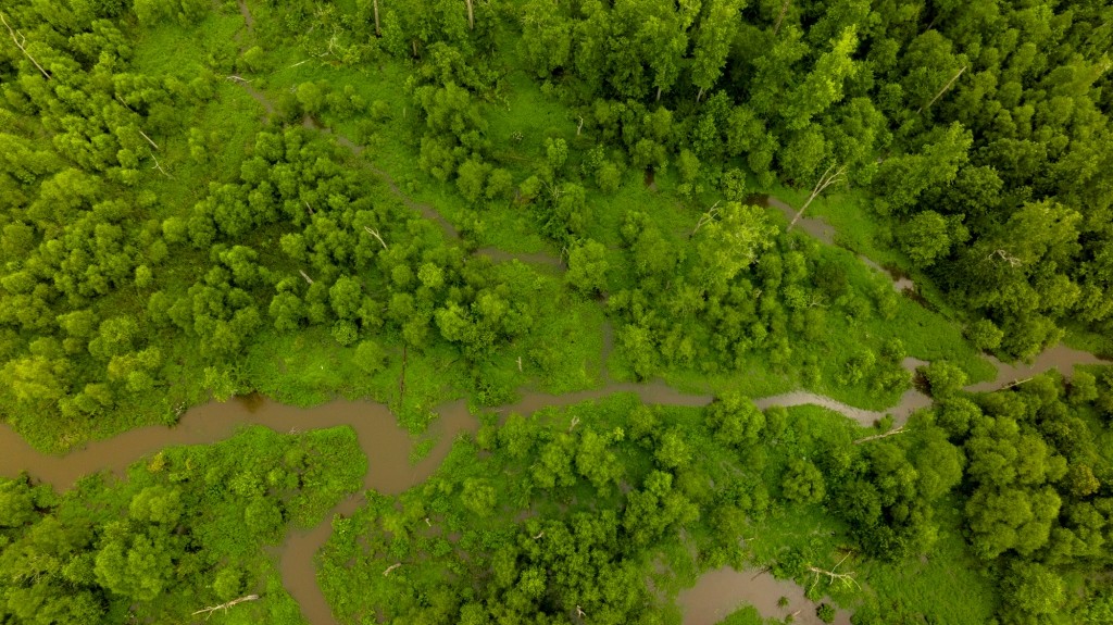 Little Ogeechee Retreat Photo