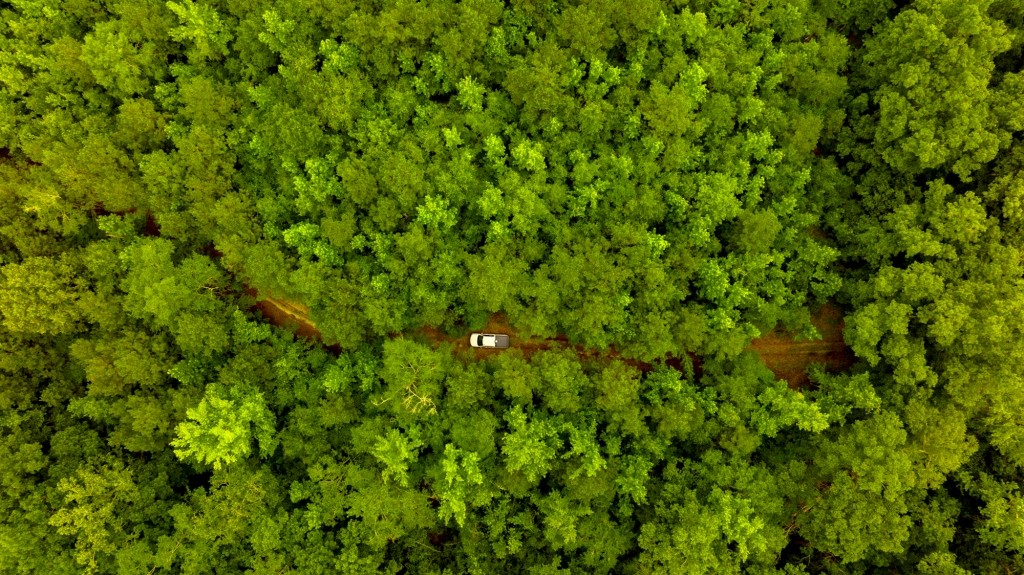 Little Ogeechee Retreat Photo
