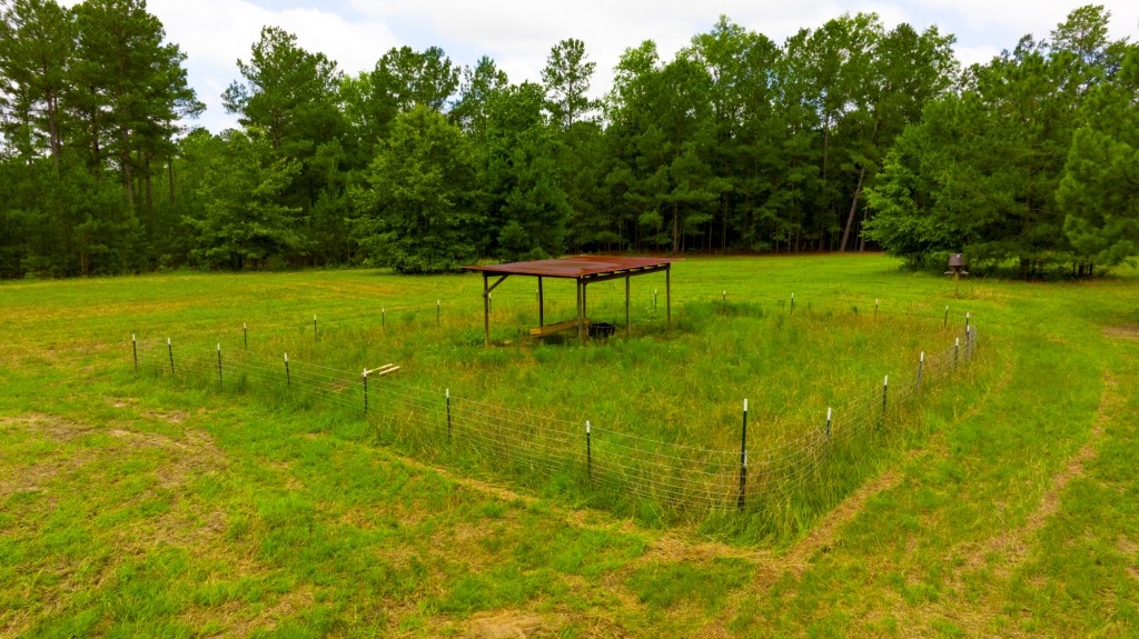 Little Ogeechee Retreat Photo