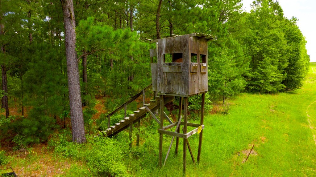 Little Ogeechee Retreat Photo
