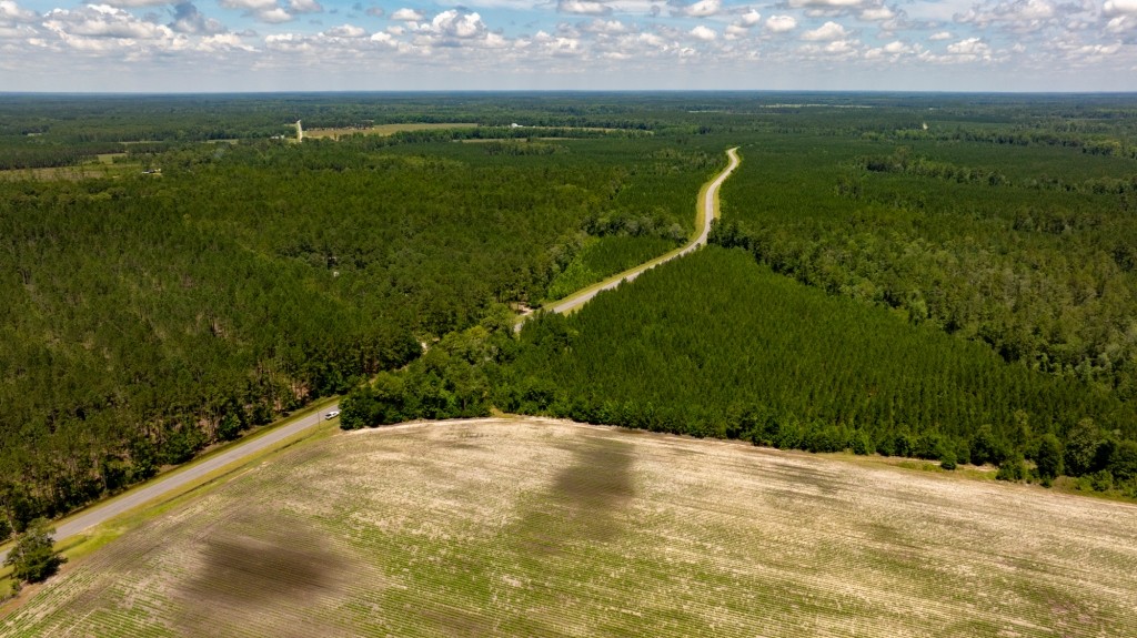 Cowpen Hunting & Timberland Photo