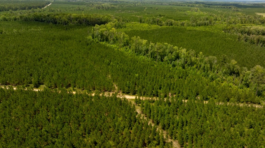 Cowpen Hunting & Timberland Photo