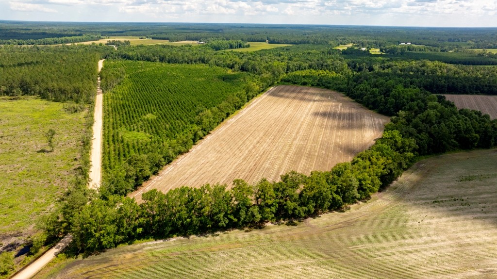 Cowpen Hunting & Timberland Photo