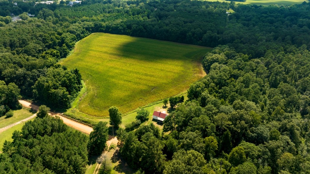 Sugar Creek Mini Farm Photo