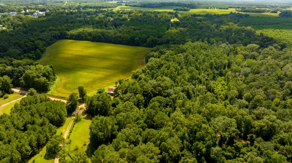 Sugar Creek Mini Farm Photo