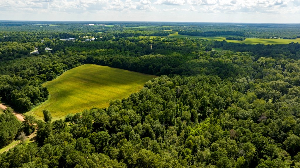 Sugar Creek Mini Farm Photo