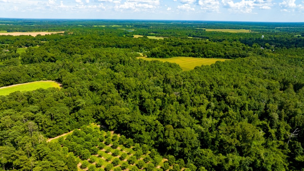 Sugar Creek Mini Farm Photo