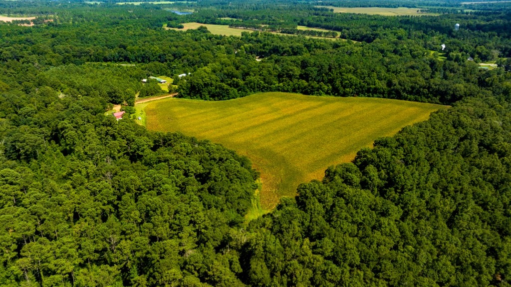 Sugar Creek Mini Farm Photo