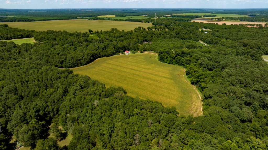 Sugar Creek Mini Farm Photo