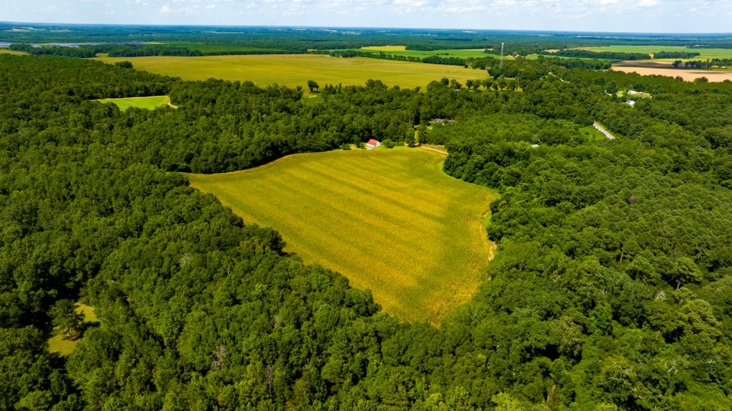 Sugar Creek Mini Farm Photo