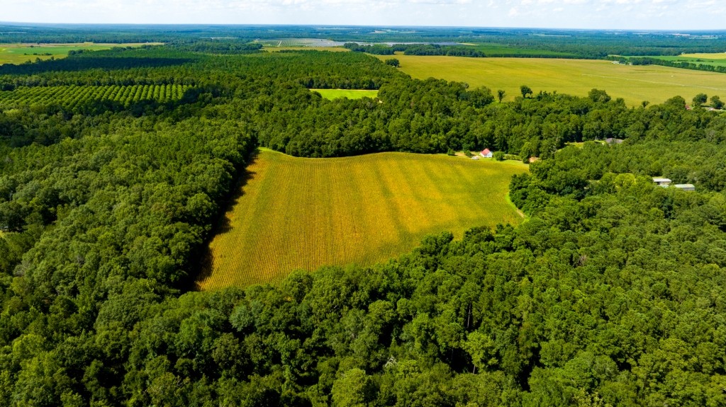 Sugar Creek Mini Farm Photo