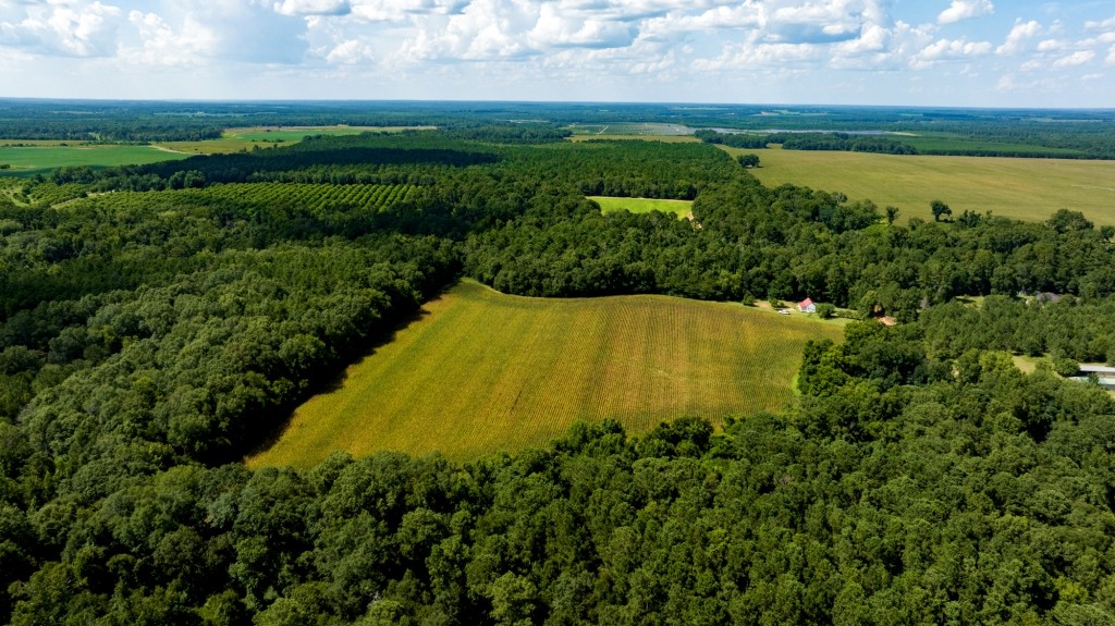 Sugar Creek Mini Farm Photo