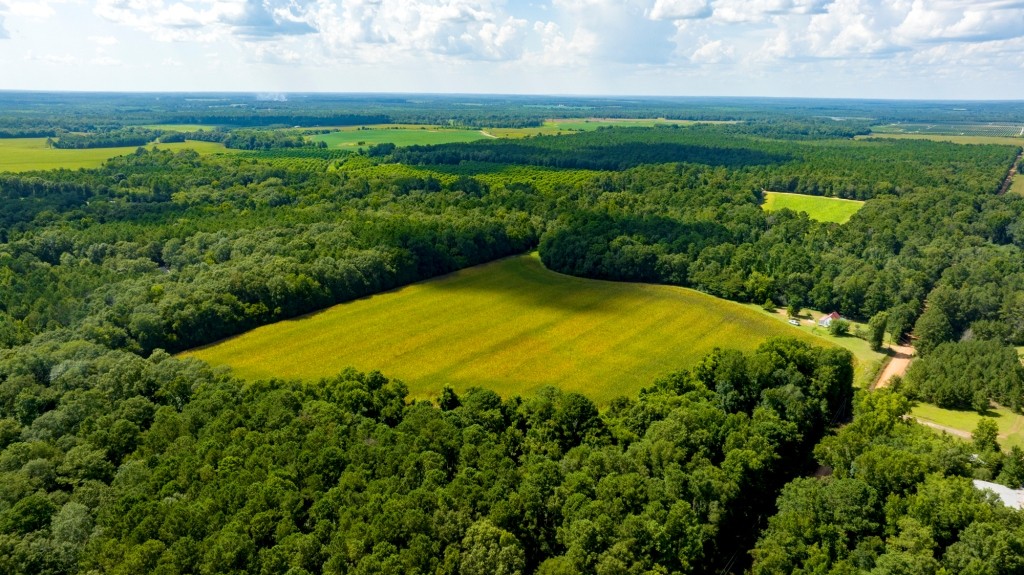 Sugar Creek Mini Farm Photo