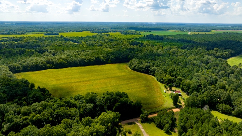 Sugar Creek Mini Farm Photo