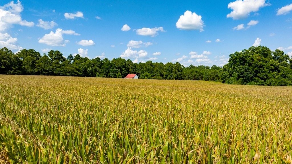 Sugar Creek Mini Farm Photo