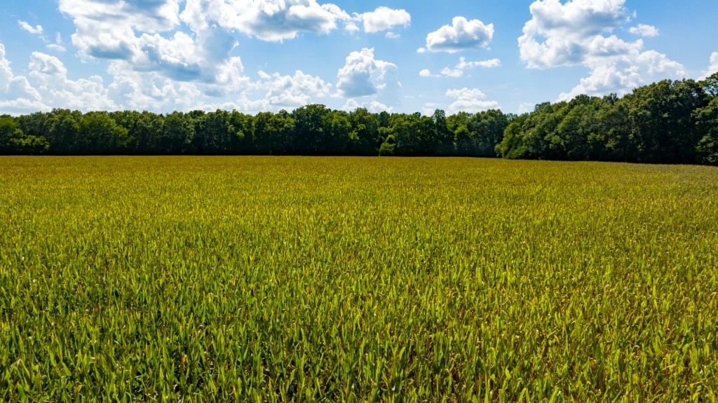 Sugar Creek Mini Farm Photo