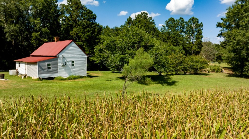 Sugar Creek Mini Farm Photo