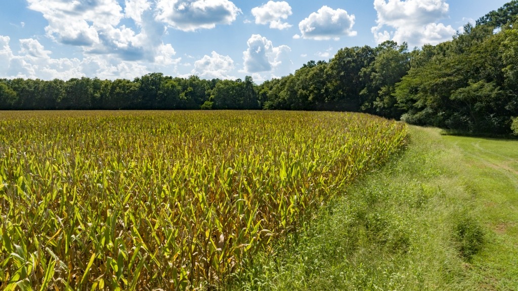 Sugar Creek Mini Farm Photo