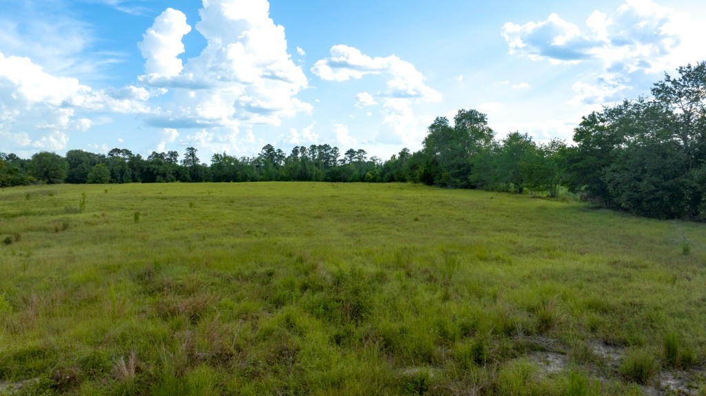 Big Horse Creek Homeplace Photo