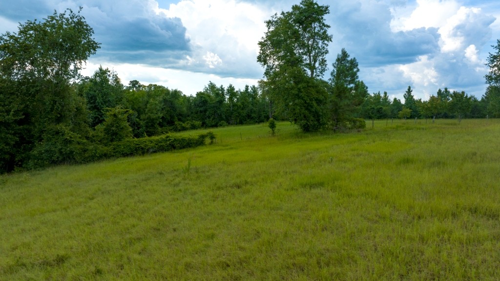Big Horse Creek Homeplace Photo