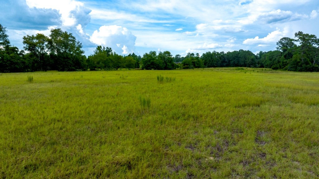 Big Horse Creek Homeplace Photo