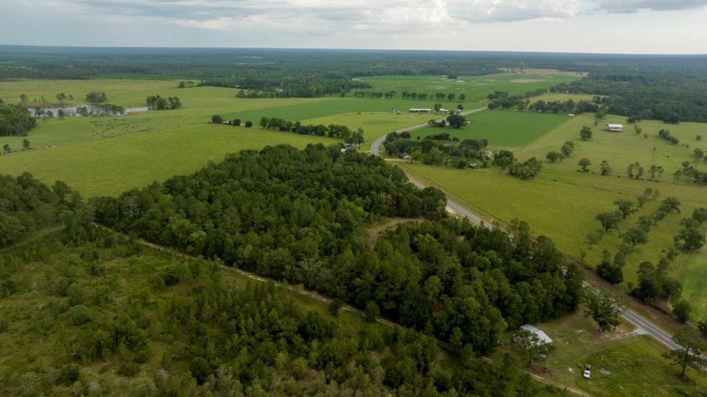 Telfair County Homesite Photo