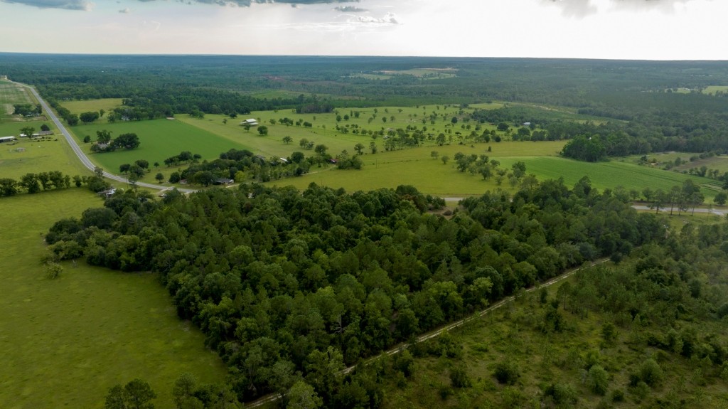 Telfair County Homesite Photo