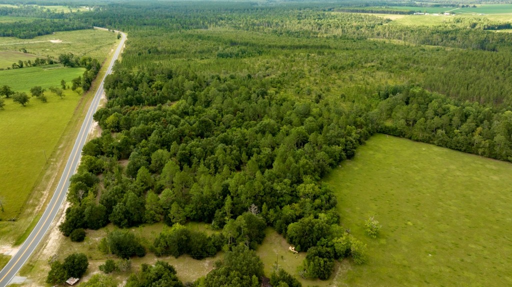 Telfair County Homesite Photo
