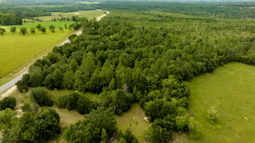 Telfair County Homesite Photo
