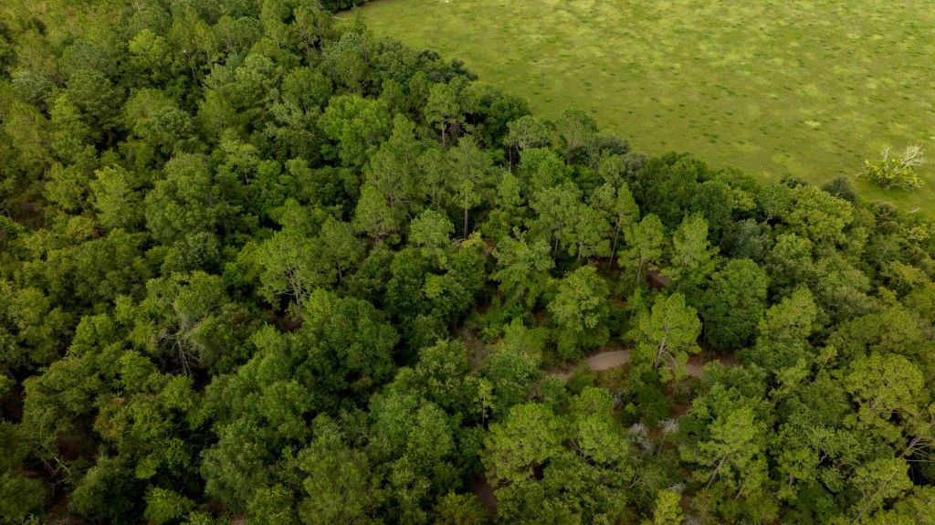Telfair County Homesite Photo