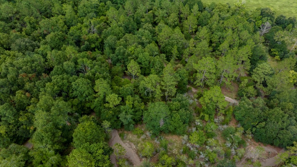 Telfair County Homesite Photo