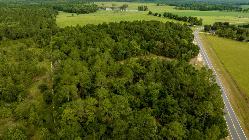 Telfair County Homesite Photo