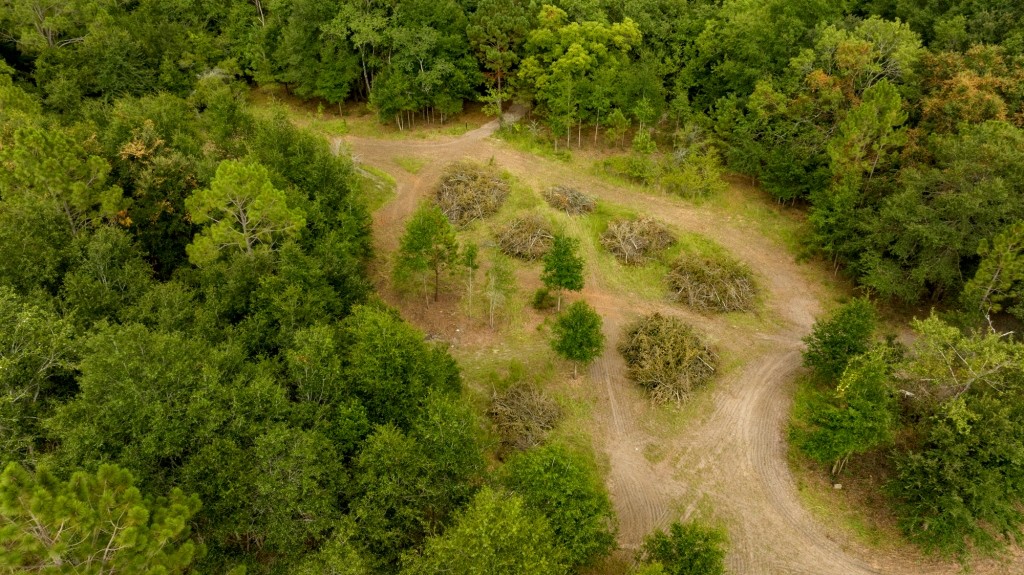 Telfair County Homesite Photo