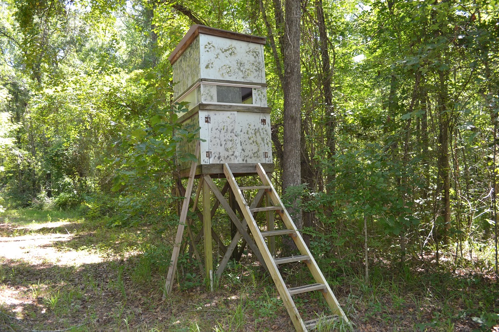 Ripley Woods Photo