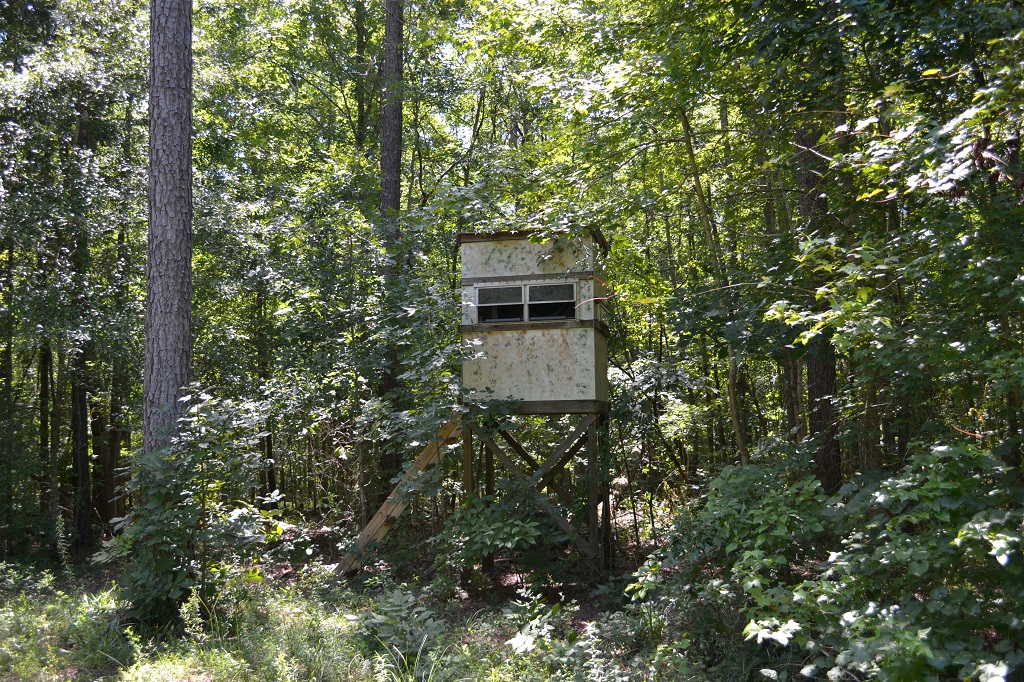 Ripley Woods Photo