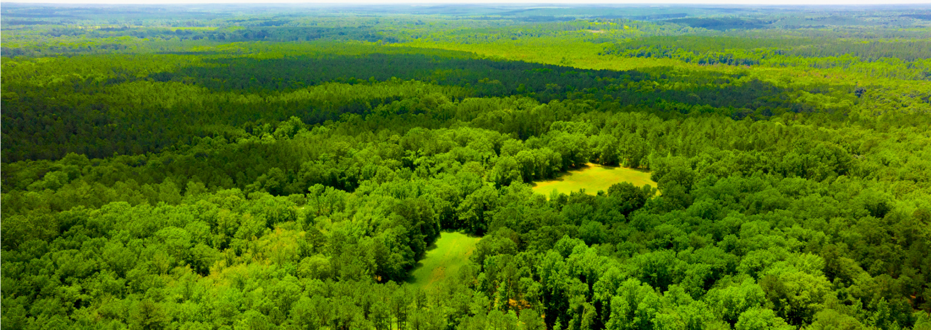 Little Ogeechee Retreat Main Photo