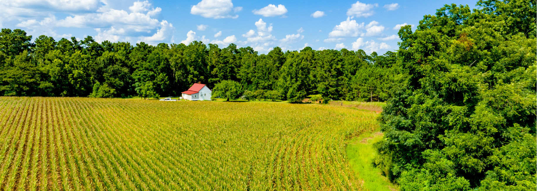 Sugar Creek Mini Farm Main Photo