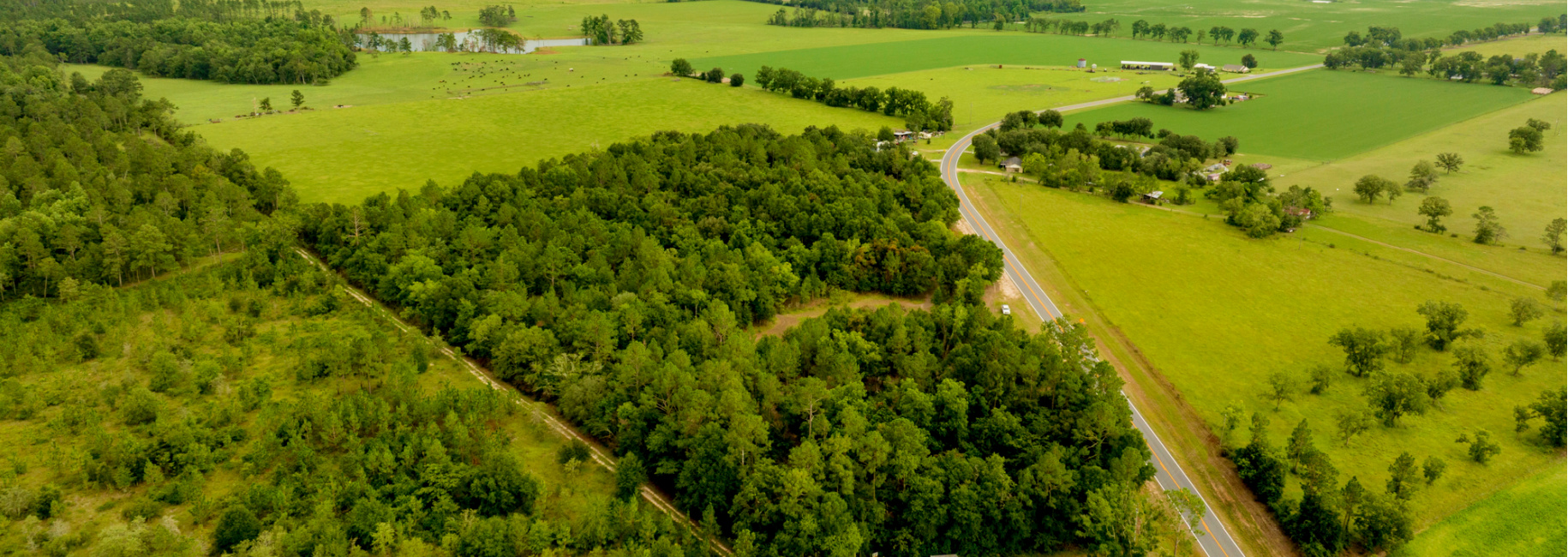 Telfair County Homesite Main Photo