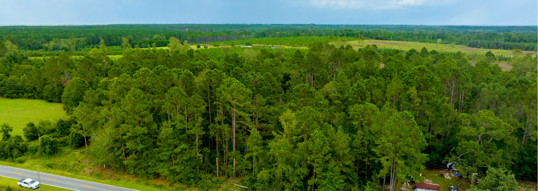 Telfair Pines Main Photo