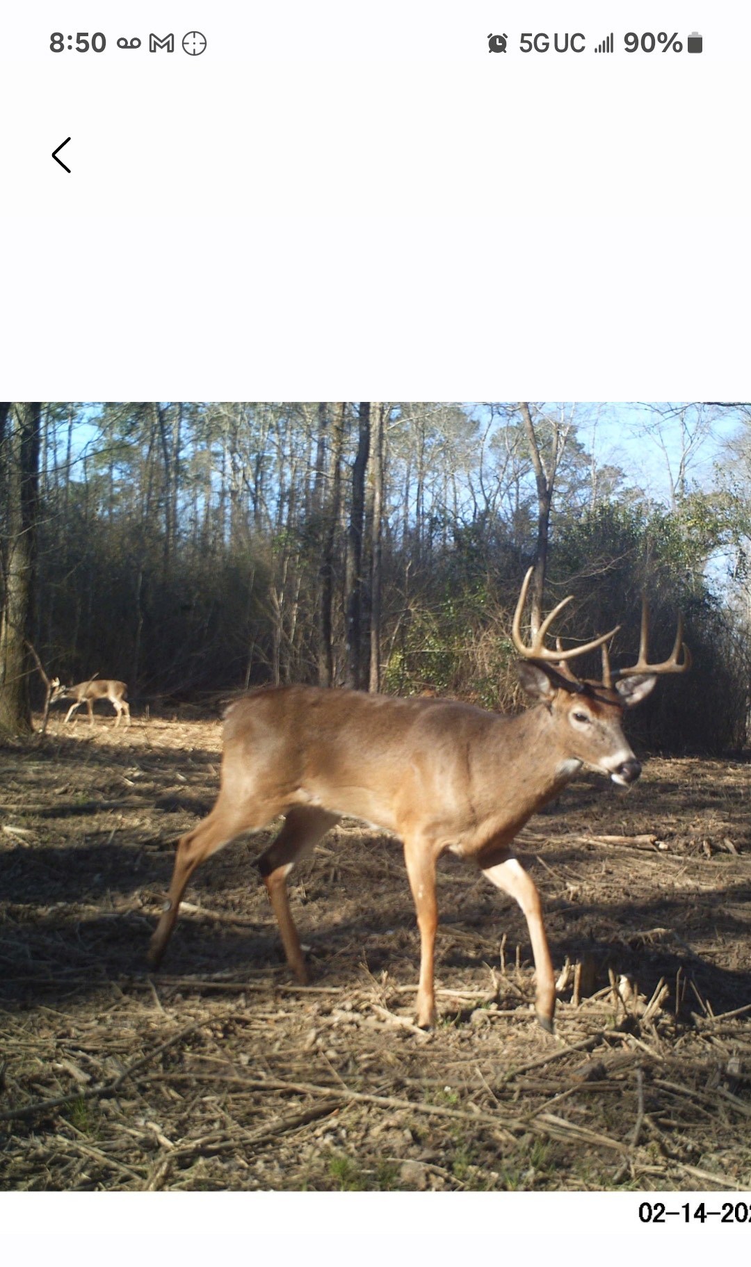 Sugar Creek Mini Farm Photo