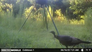 Canoochee Pond Photo