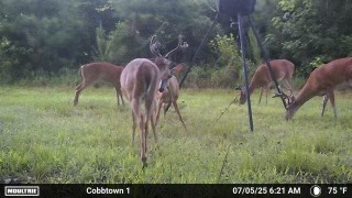 Canoochee Pond Photo