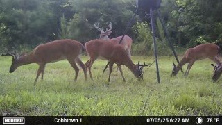 Canoochee Pond Photo