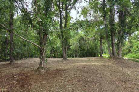 Dean Nichols Road Homesite
