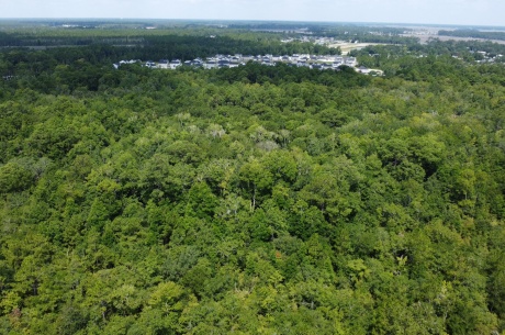 St. Marys Coastal Development