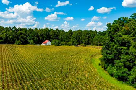 Sugar Creek Mini Farm